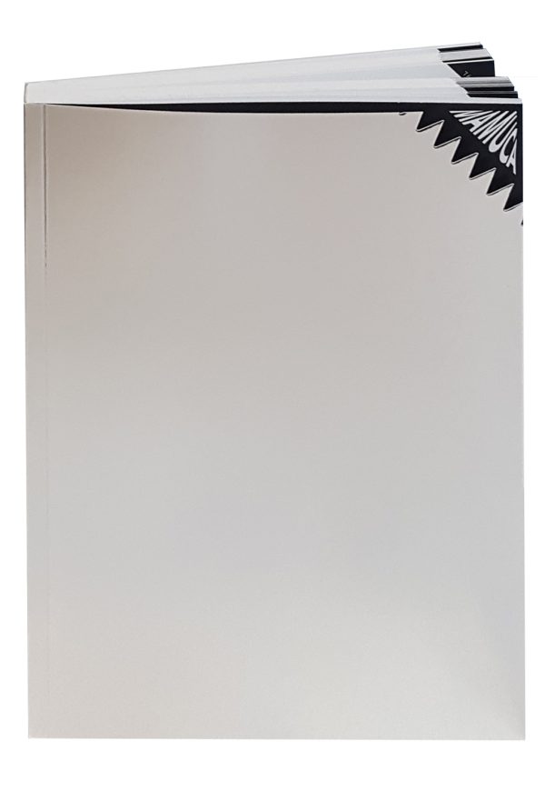 1032857-0.jpeg Mamuca: Mai-mult-ca-abstractul | Carola Chisiu, Silviu Dancu, Dan Popescu, Ioana Pearsica, Ioana Serban, Cristian Vechiu, Alexandra Zegrean