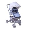 113396_1.jpg Carucior combinat Lorelli Aster 2019 grey