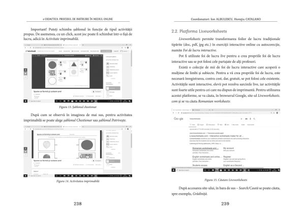 e-Didactica. Procesul de instruire in mediul online | Ion Albulescu, Horatiu Catalano