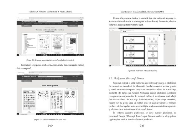e-Didactica. Procesul de instruire in mediul online | Ion Albulescu, Horatiu Catalano