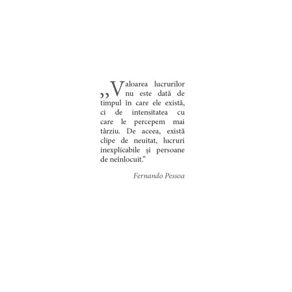 O carte frumoasa despre un om frumos - Ovidiu Iuliu Moldovan | Rodica Mandache