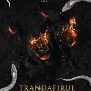 Trandafirul Stacojiu | Larisa Dobre