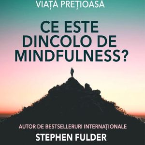 Ce este dincolo de Mindfulness? | Stephen Fulder