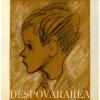 Despovararea. Simturi si instincte. Vol. I+II | Radu Boroianu