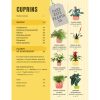 706856149-1.jpeg Cum sa nu-ti ucizi plantele de apartament | Veronica Peerless