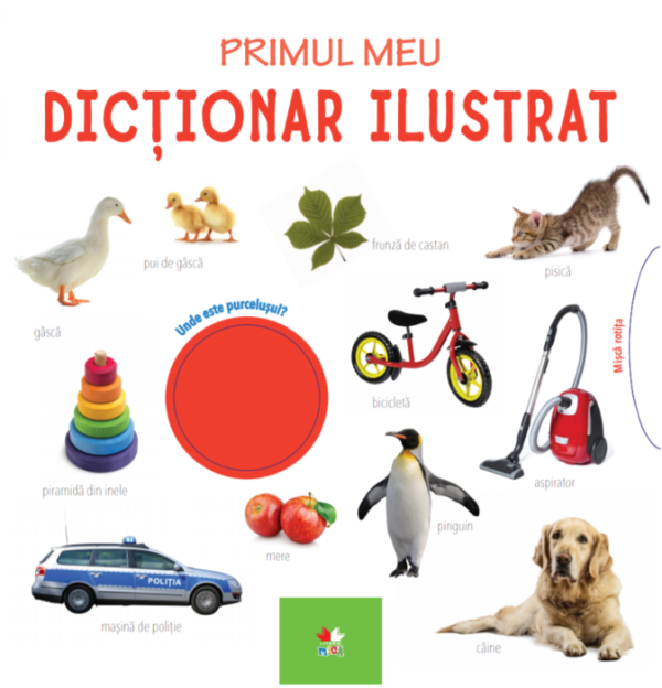 Primul meu dictionar ilustrat |