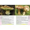Ghidul culegatorului de ciuperci | Locsmandi Csaba
