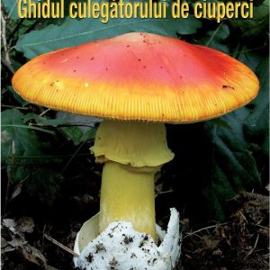 Ghidul culegatorului de ciuperci | Locsmandi Csaba