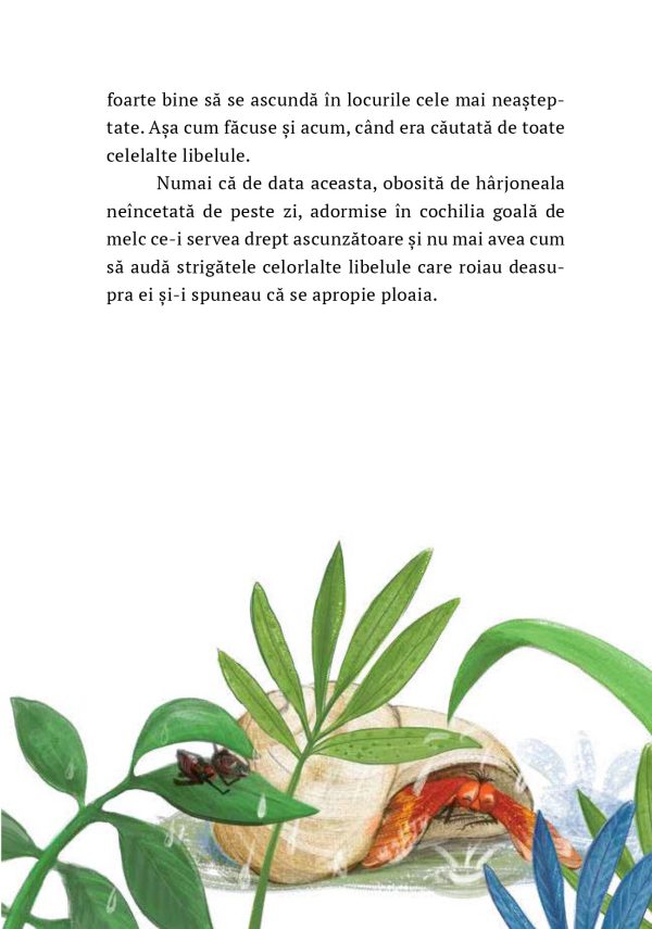 Libelula de foc | Paul Gabriel Sandu
