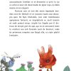 Libelula de foc | Paul Gabriel Sandu