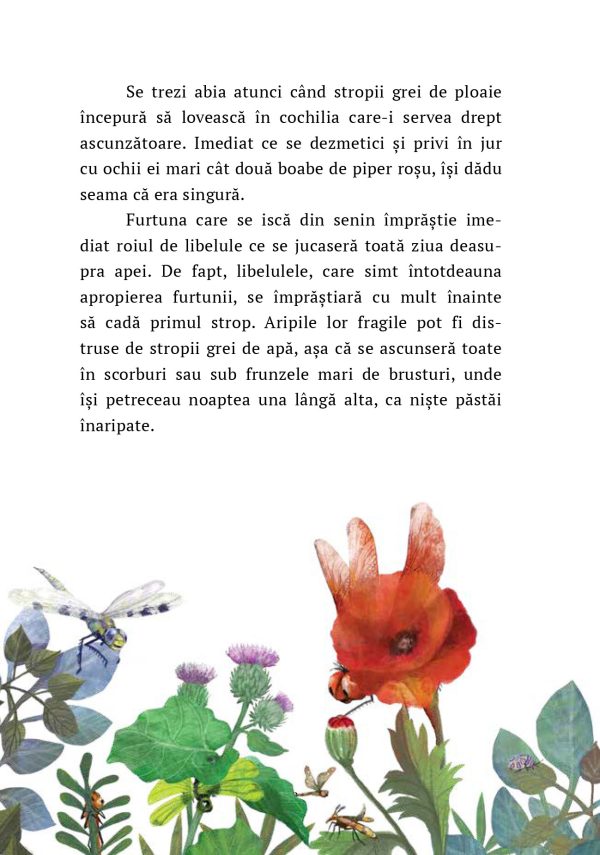 Libelula de foc | Paul Gabriel Sandu