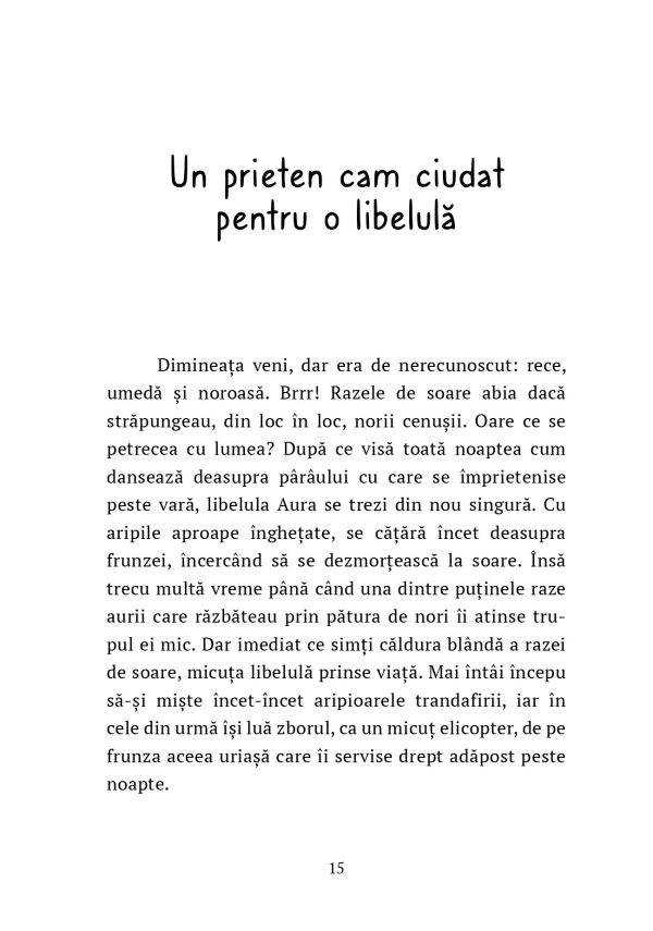 Libelula de foc | Paul Gabriel Sandu