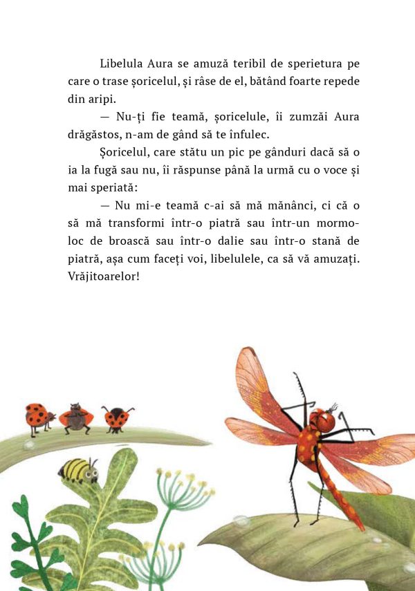 Libelula de foc | Paul Gabriel Sandu