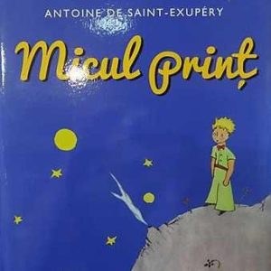 Micul print (editie lux) | Antoine De Saint-Exupery
