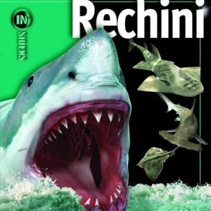 Rechinii | Weldon Owen