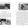987210681-3.jpeg Alternativa educationala Step by Step: Abordari teoretice si pragmatice | Horatiu Catalano, Ion Albulescu