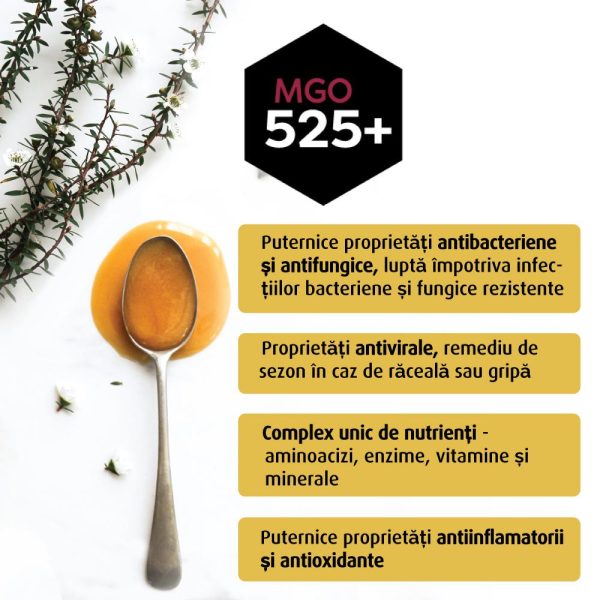 Beneficii_Melora_1000x1000_mgo525_2_7e514a0f-5e22-4954-931a-ed9afa67c840.jpg Miere de Manuka MELORA, MGO 525+ (UMF 15) Noua Zeelanda, 500 g, naturala