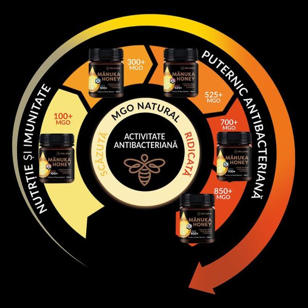 Variety-of-honey-with-different-strengths_MELORA_RO_486c7a74-c3ae-4d8a-987e-338cb692fd75.jpg Miere de Manuka MELORA, MGO 525+ (UMF 15) Noua Zeelanda, 500 g, naturala