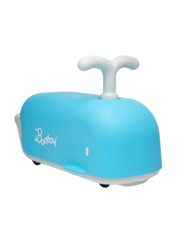 balena-moby-bontoy-.png Balenă Moby Bontoy