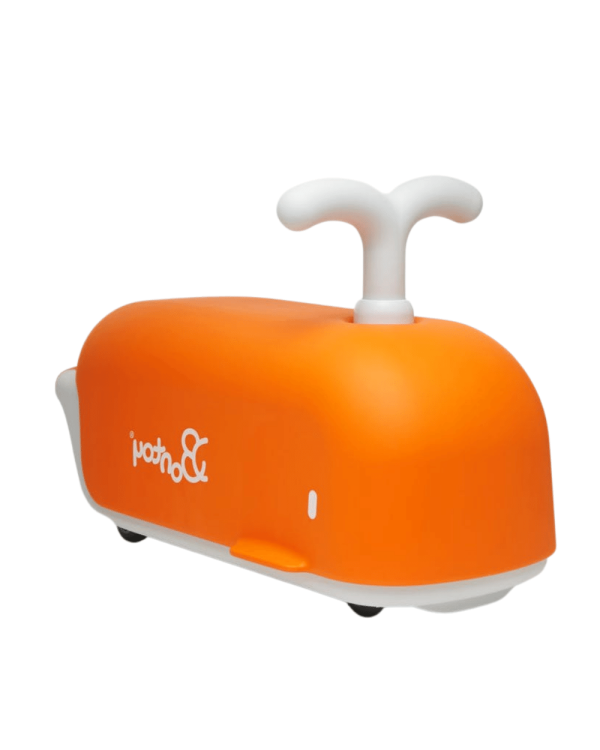 balena-noah-bontoy-.png Balenă Noah Bontoy