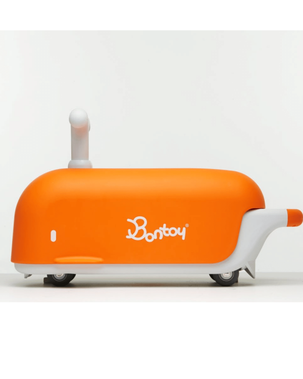 balena-noah-bontoy-1-1.png Balenă Noah Bontoy