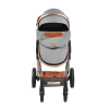 Carucior combinat Moni Alma 2020 Dark Grey