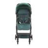 Carucior sport Chipolino Roxy 2021 Pine