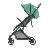 Carucior sport Chipolino Roxy 2021 Pine