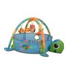 Centru de activitati Cangaroo Sea Turtle