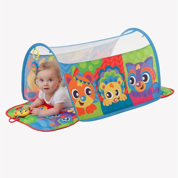 Centru de activitati PlayGro Tunel Muzical