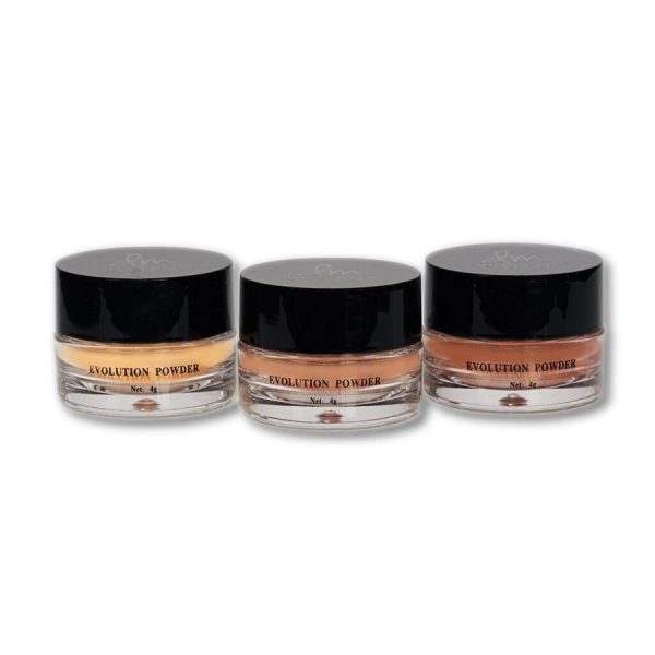 DANESSA MYRICKS BEAUTY PUDRA PULBERE EVOLUTION TRIO MEDIUM DEEP