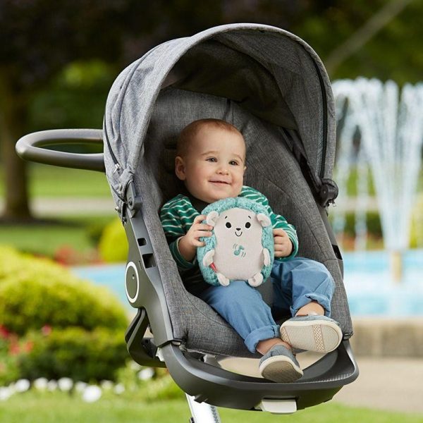 Jucarie bebelusi cu Vibratii si Sunete Fisher Price Arici