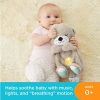 Jucarie de plus interactiva pentru bebelusi Fisher Price vidra