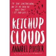 ketchup-clouds-annabel-pitcher.jpg Ketchup Clouds - Annabel Pitcher