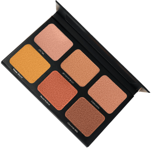 DANESSA MYRICKS BEAUTY PALETA ILUMINATOARE LIGHT WORK 2
