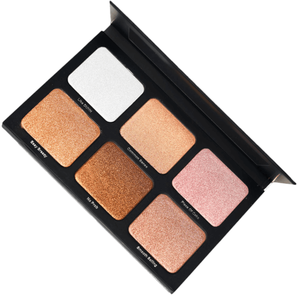 DANESSA MYRICKS BEAUTY PALETA ILUMINATOARE LIGHT WORK
