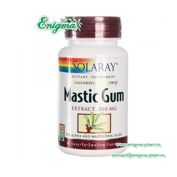 MASTIC GUM