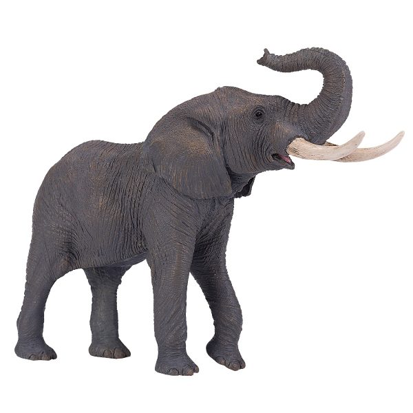 mojo381005_001w_figurina_mojo_elefant_african_381005_1_.jpg Figurina Mojo, Elefant African