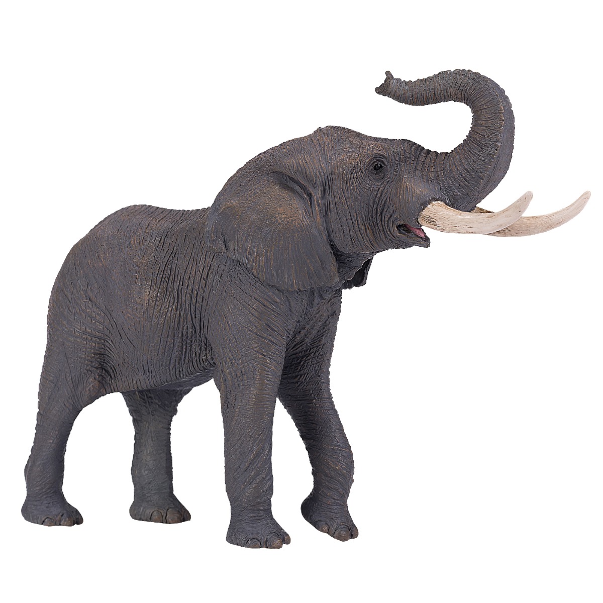 mojo381005_001w_figurina_mojo_elefant_african_381005_1_.jpg Figurina Mojo, Elefant African