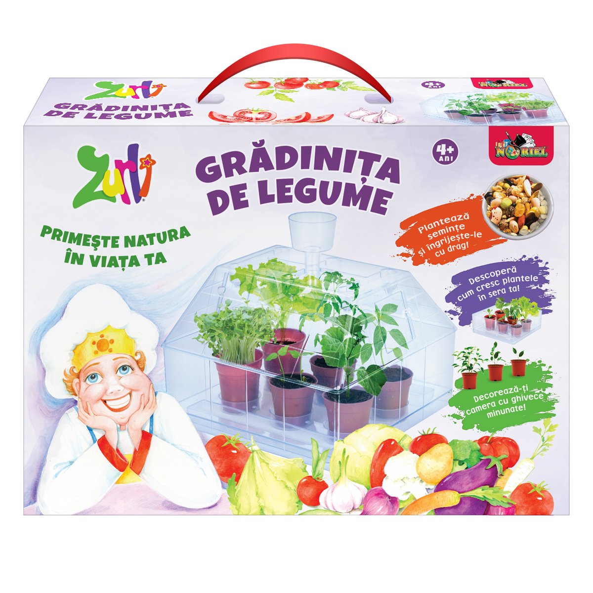 Gradinita de legume Zurli, Noriel Games
