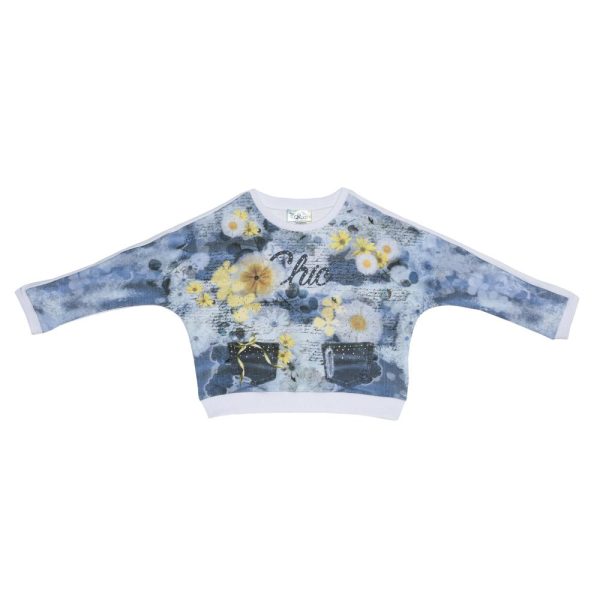 quottricou-gros-mlquot_11862_1_1491227829.jpg TRICOU GROS, M.L., 116