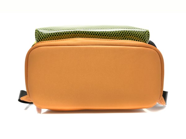 Rucsac FLAVIA PASSINI galben, J32043, din piele ecologica