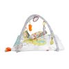 saltea_de_activitati_fisher_price_perfect_sense_deluxe_4.jpg Saltea de Activitati Fisher Price Perfect Sense Deluxe
