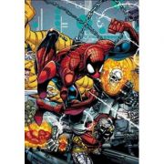 spider-man-by-david-michelinie-and-erik-larsen-omnibus-david-michelinie-jim-owsley.jpg Spider-man By David Michelinie And Erik Larsen Omnibus - David Michelinie, Jim Owsley
