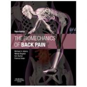The Biomechanics of Back Pain - Michael A. Adams, Nikolai Bogduk, Kim Burton, Patricia Dolan