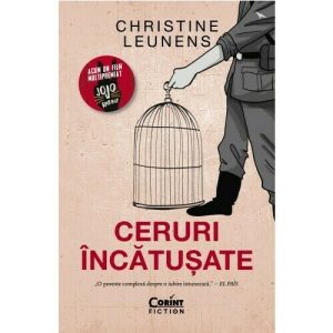 ceruri-incatusate-19408-4.jpeg Ceruri incatusate