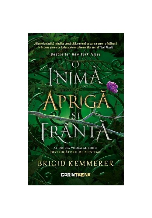 o-inima-apriga-si-franta-seria-distrugatorii-de-blesteme-vol-2-33742-4.jpeg O inima apriga si franta. Seria Distrugatorii de blesteme, Vol. 2