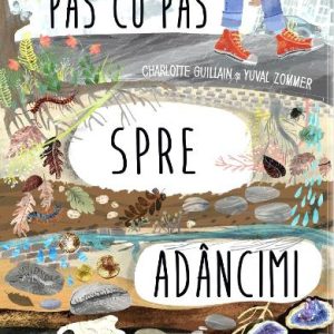 Pas cu pas spre adancimi