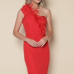 rochie-mbg-rosie-cu-pene-la-bust-1048233-846171-4.jpeg Rochie MBG rosie cu pene la bust