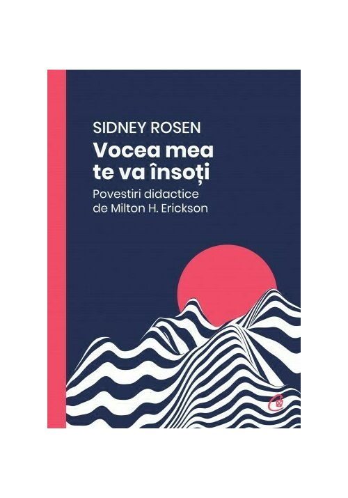 Vocea mea te va insoti